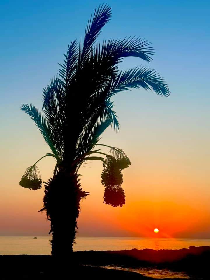 Cyprus Dream Holiday Galéria 102